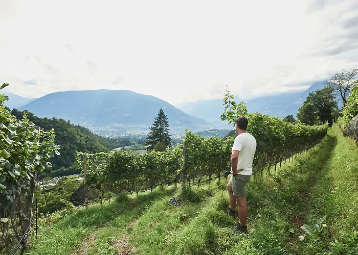Pension Riedingerhof Merano